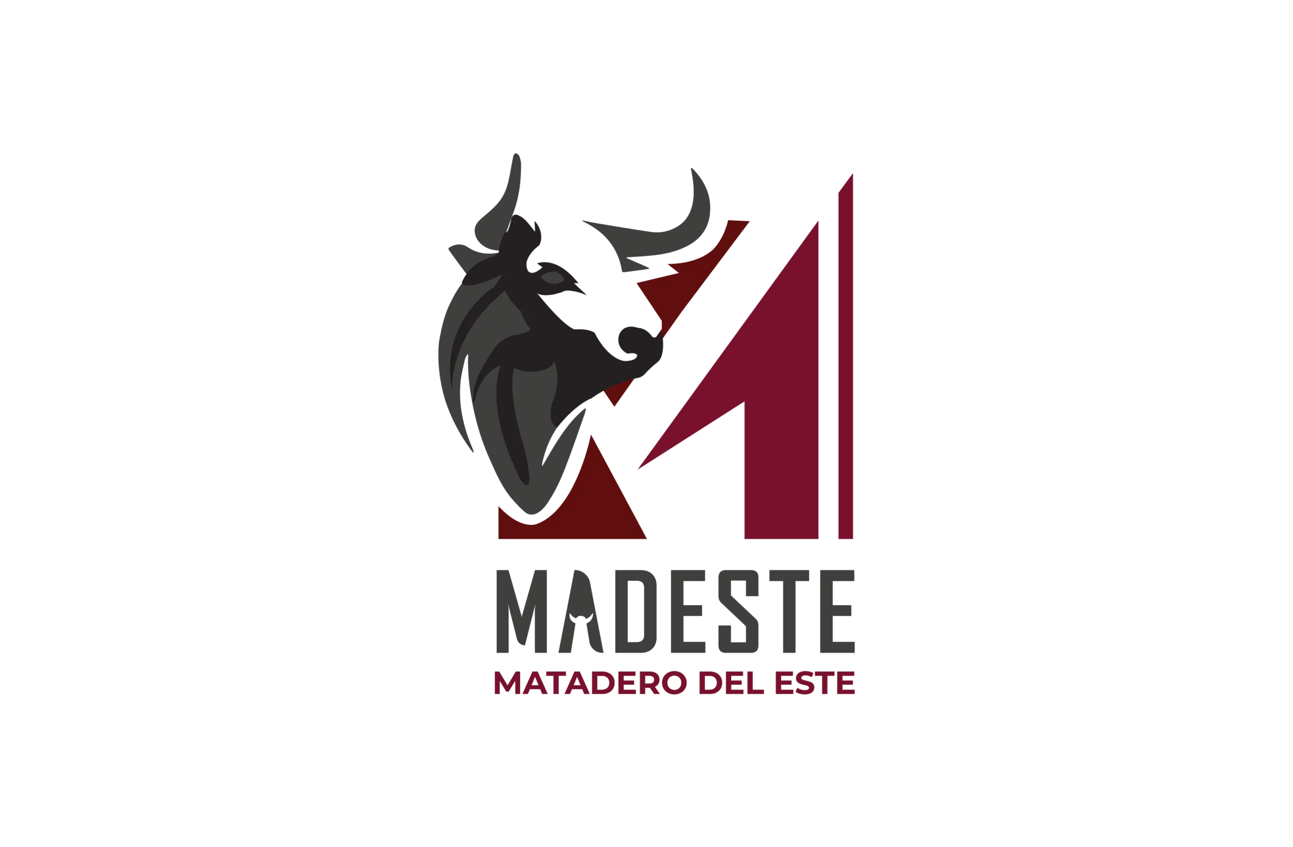 Marcas-27-scaled.webp