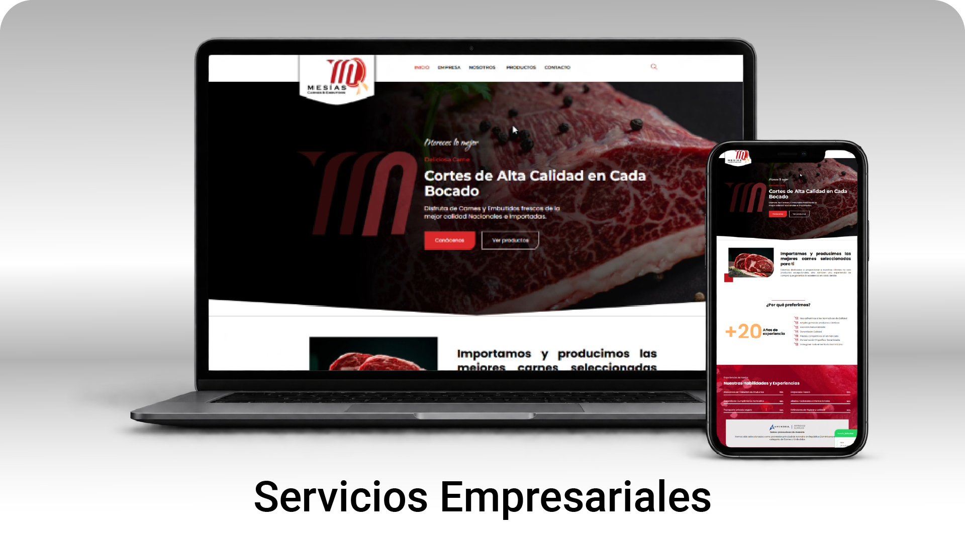 Web dispositivos-02