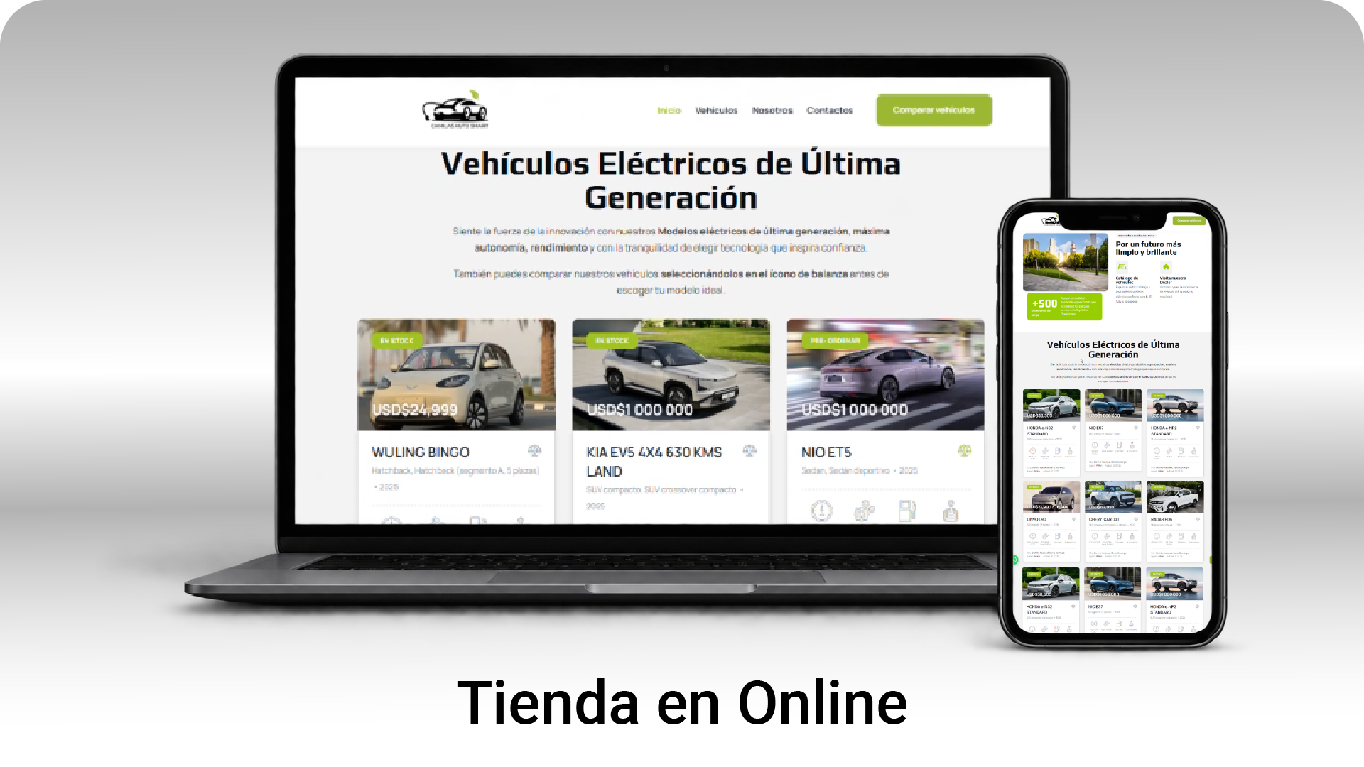 Web dispositivos-03