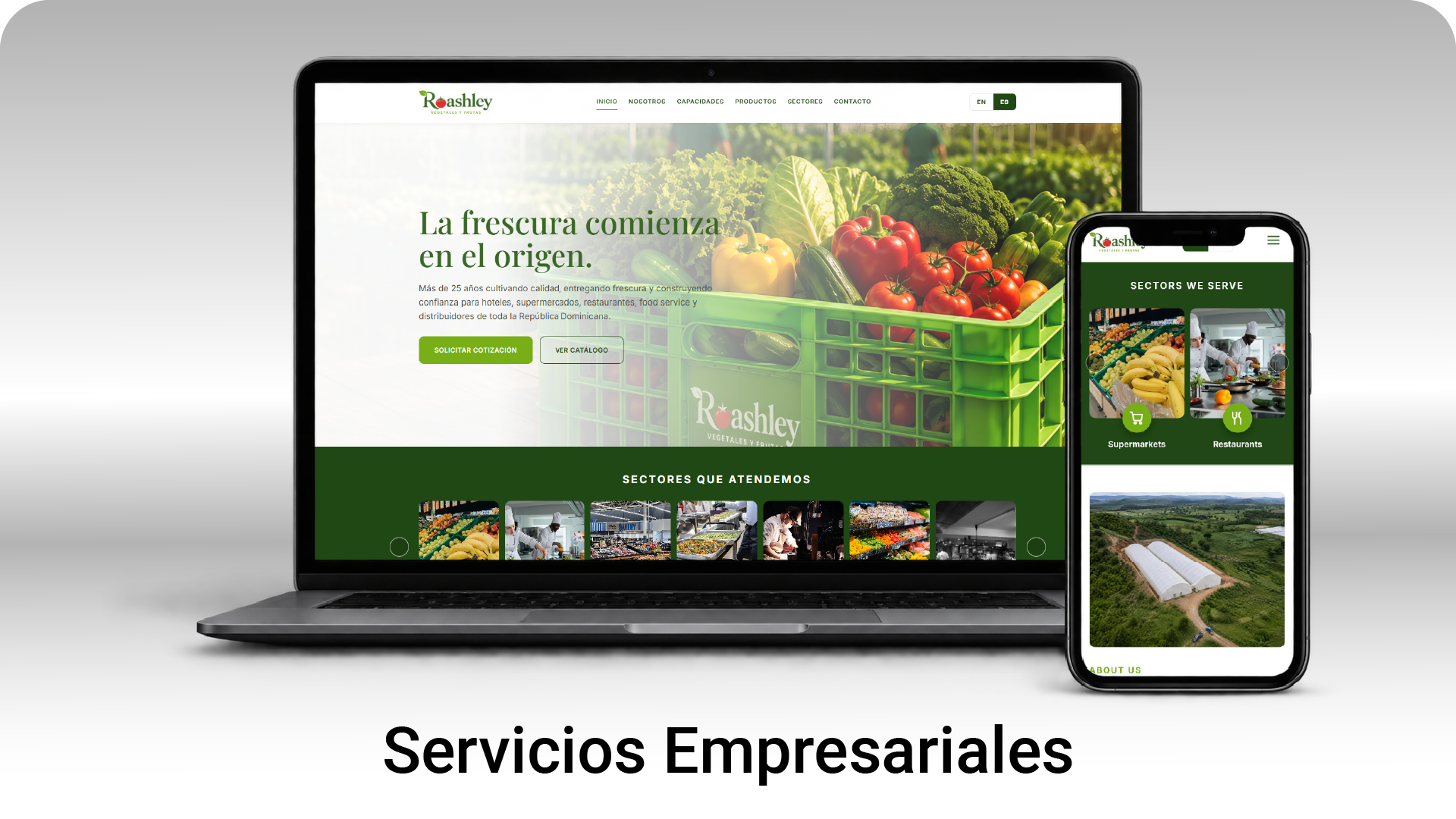 Web dispositivos-10